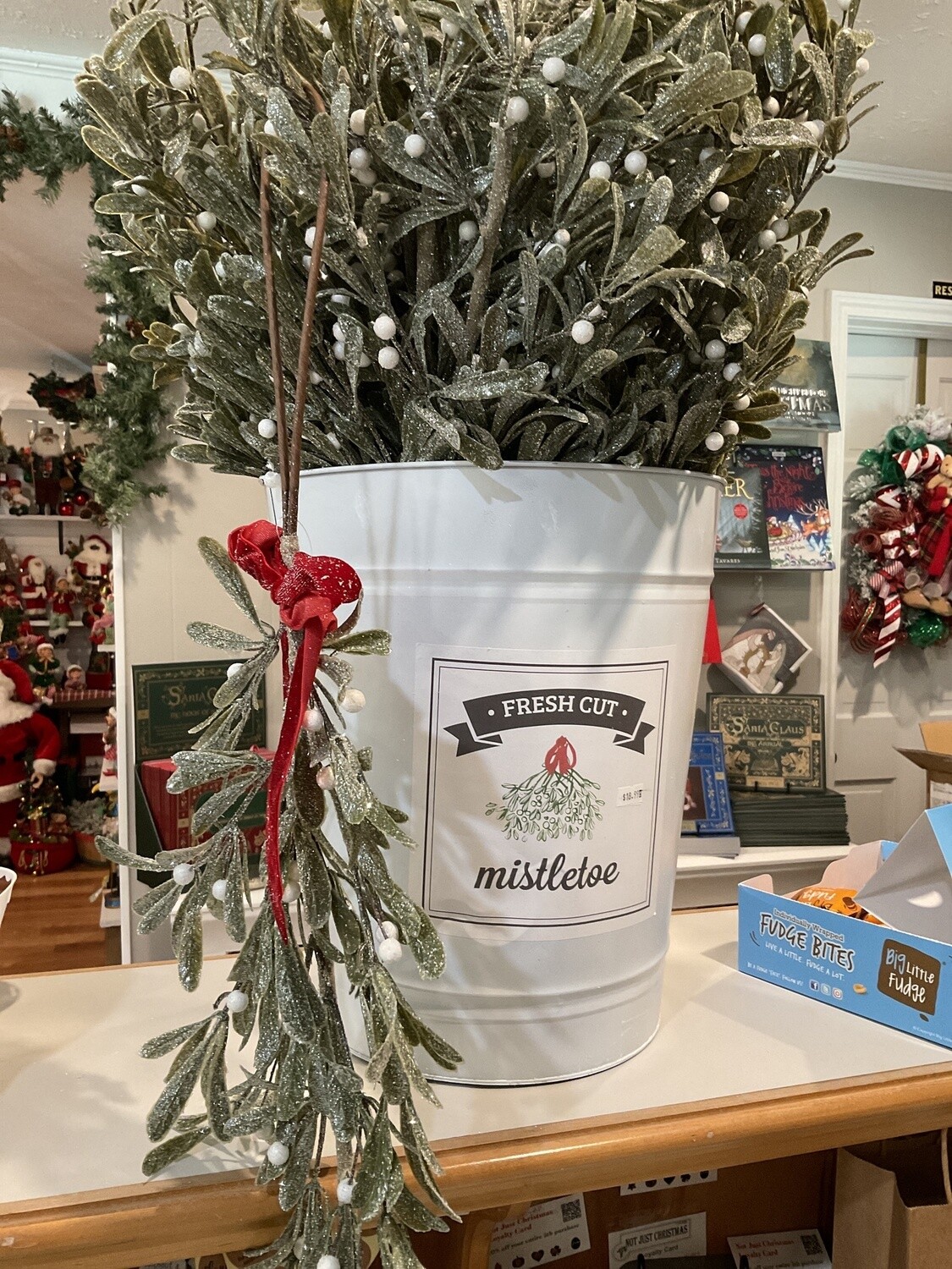 Mistletoe branch