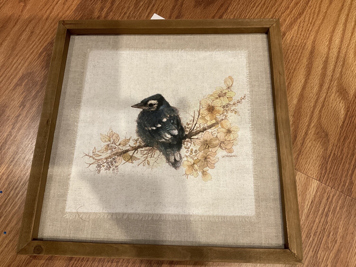 Sepia bird pictures