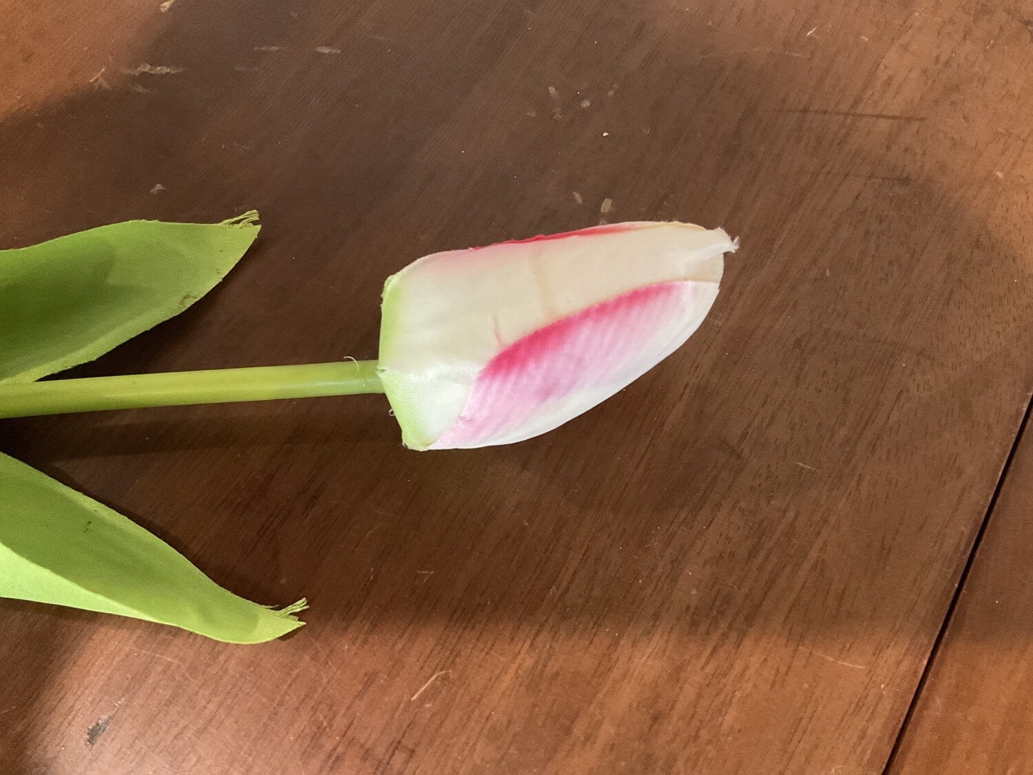 Tulip pick, Color: Pink