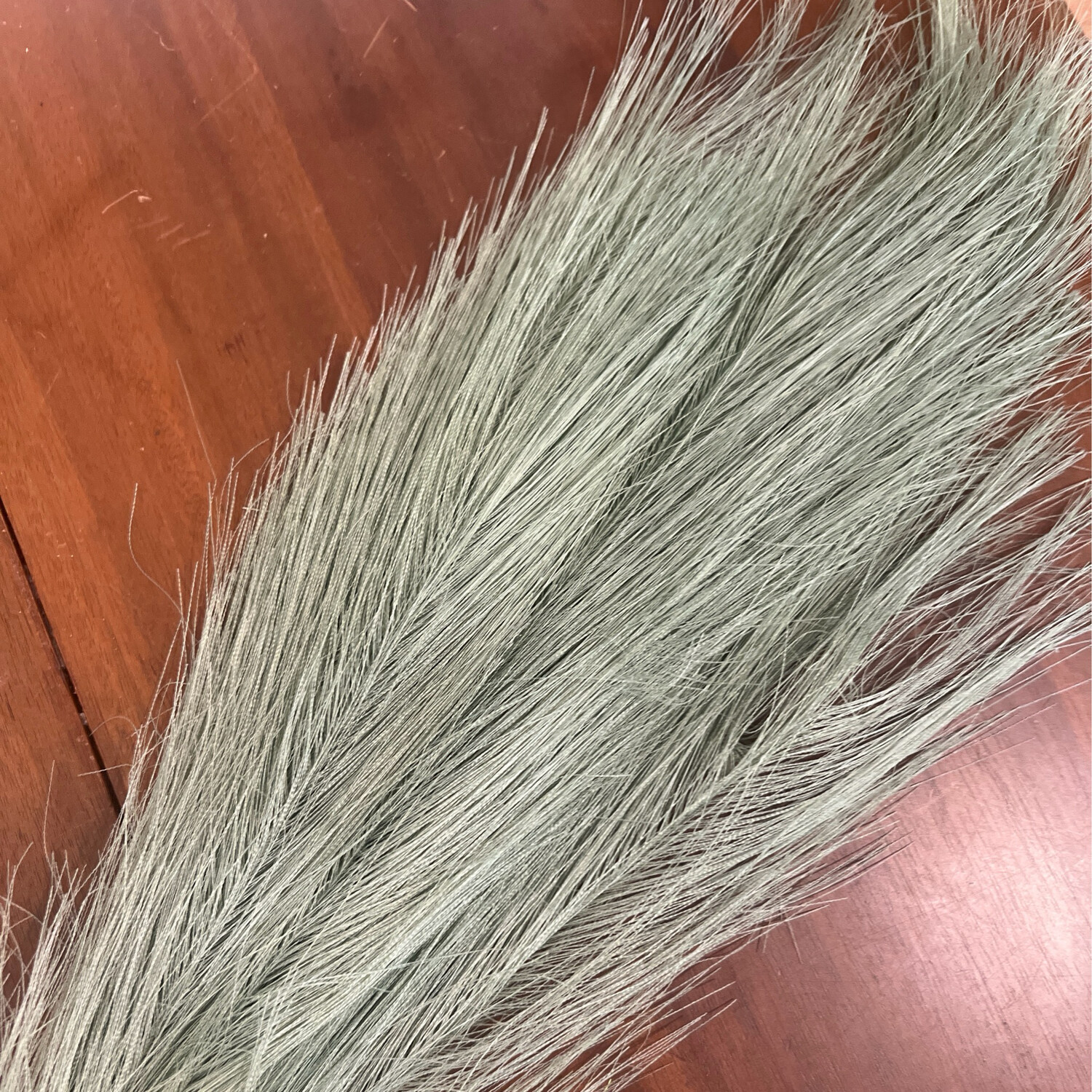 Plume bush, green pick