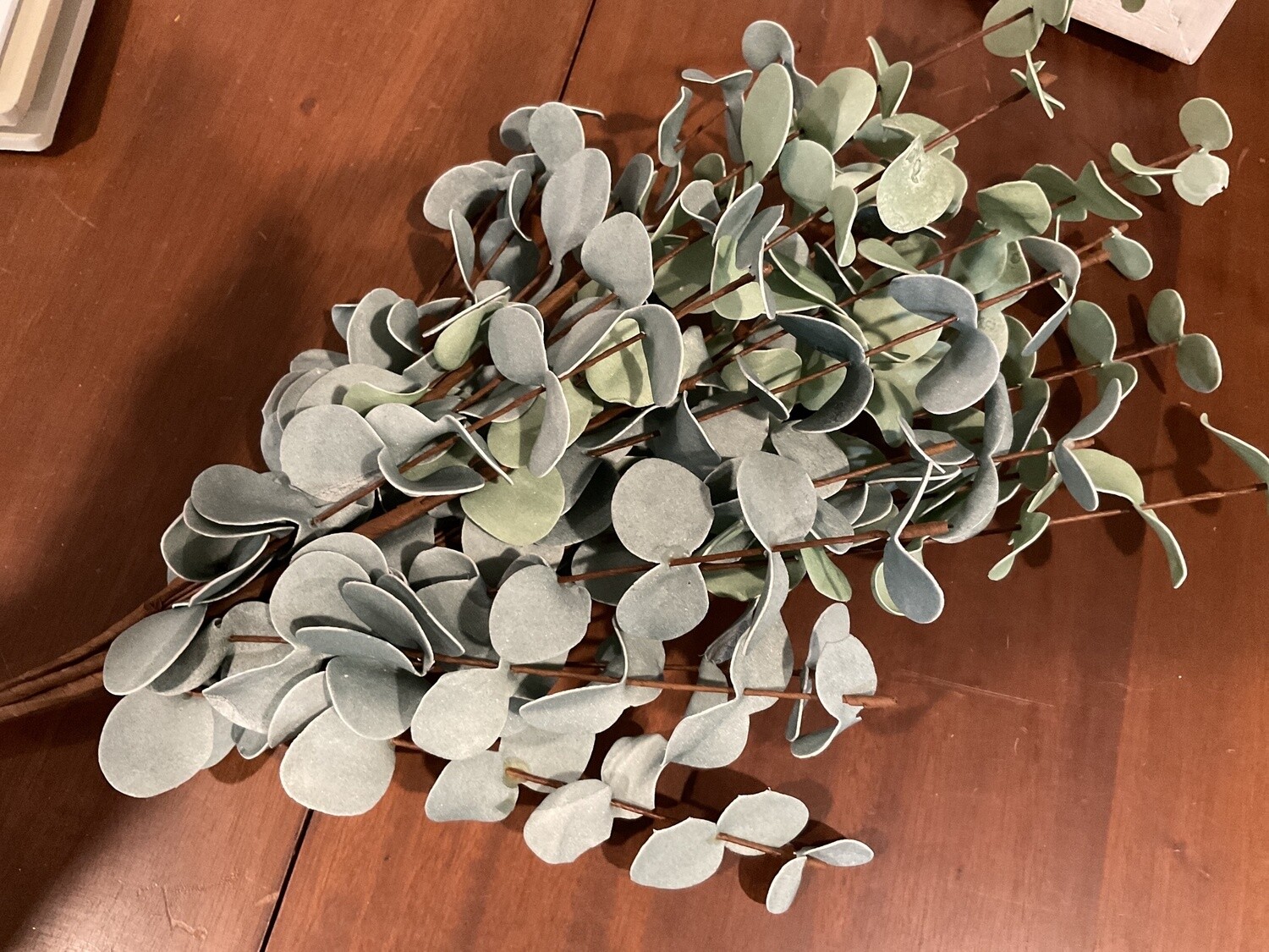 Baby blue eucalyptus pick