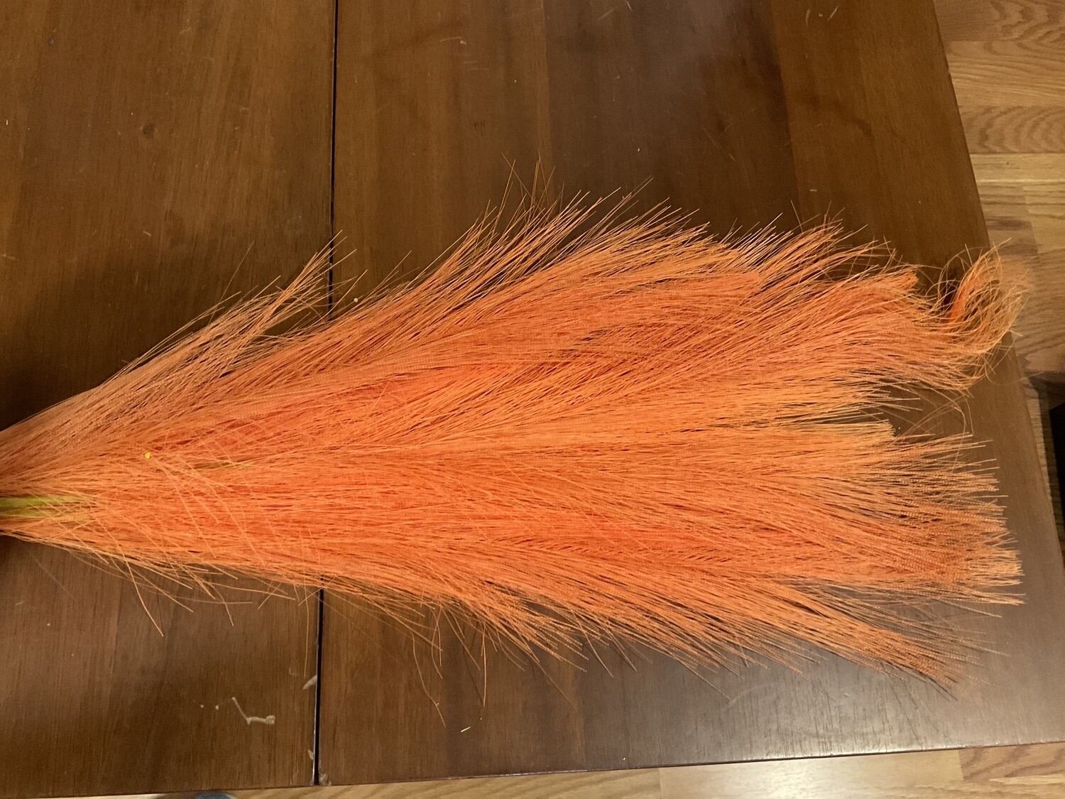 Plume bush, orange
