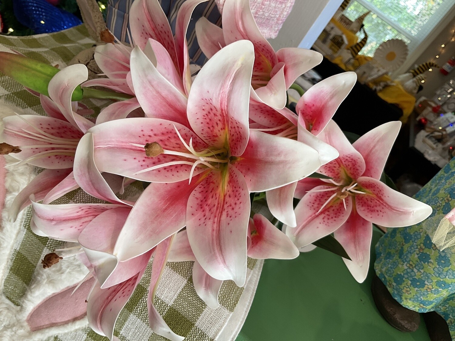 Tiger lily Bush pink
