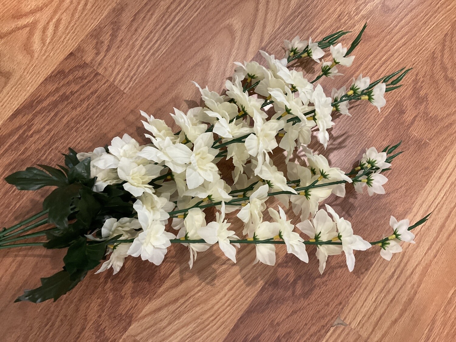 Delphinium Bush