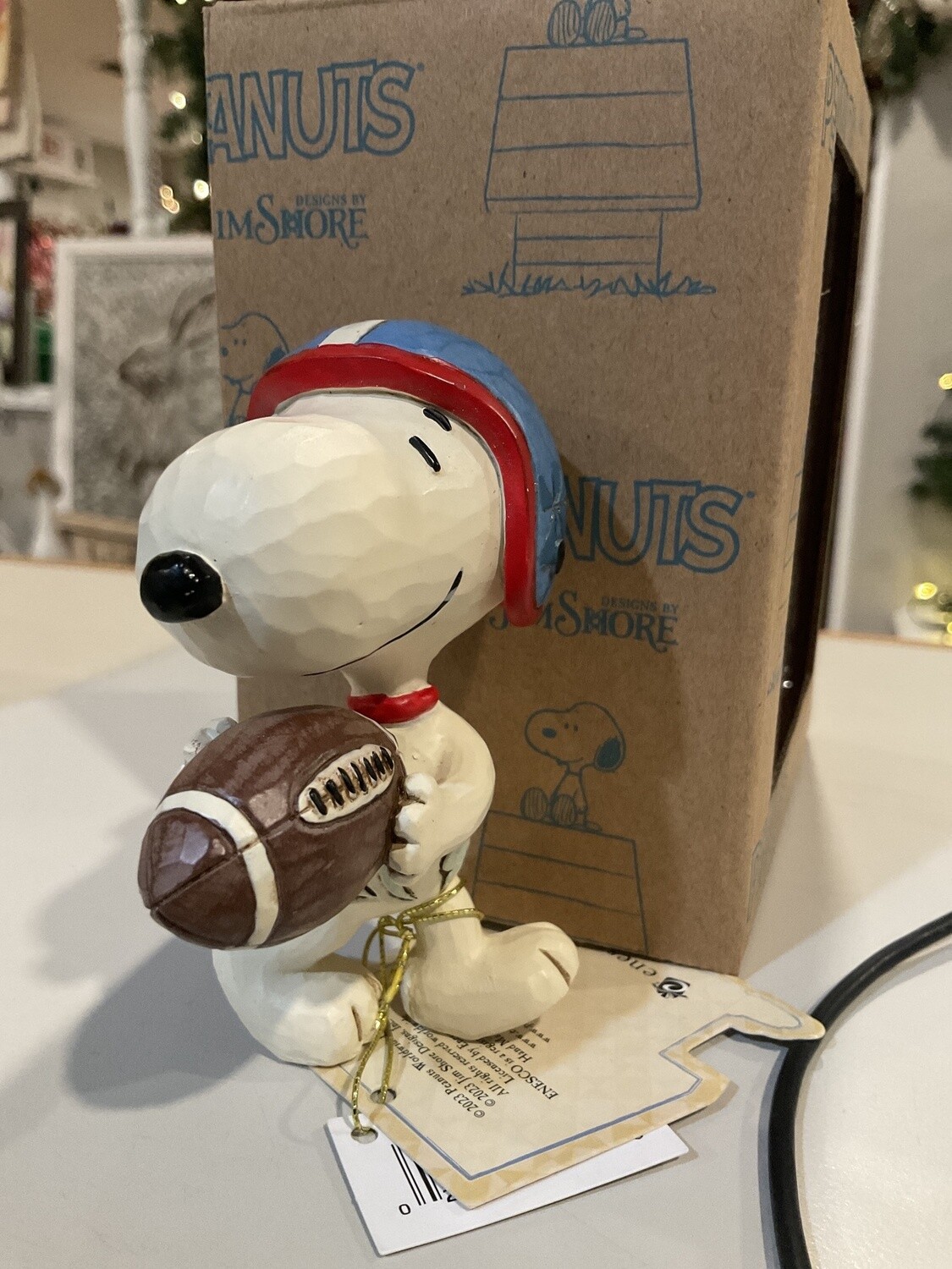 Snoopy with football