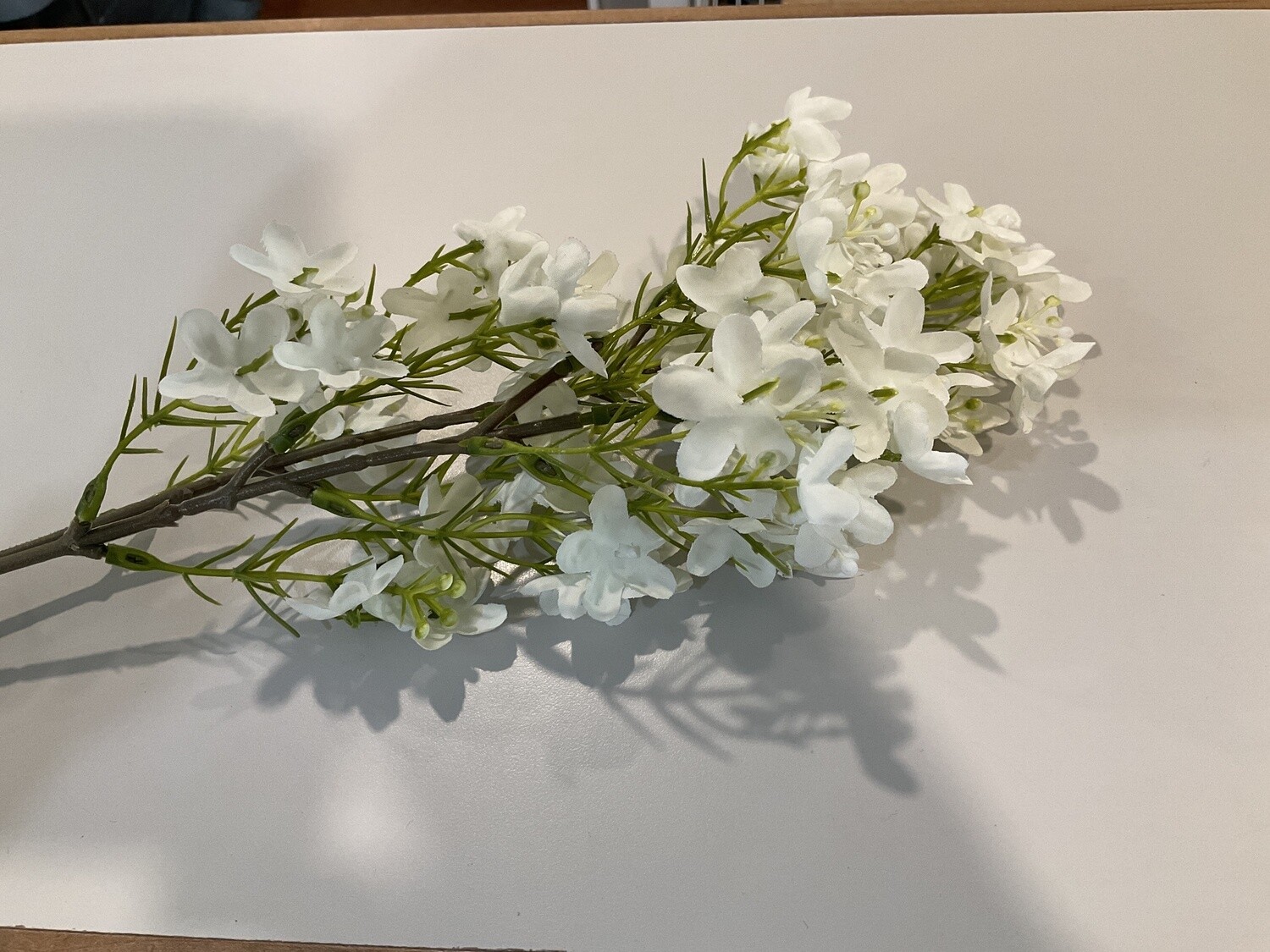 Wildflower white picks