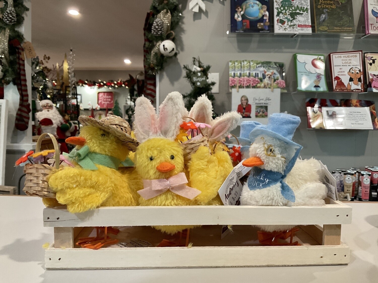 Springtime, ducks