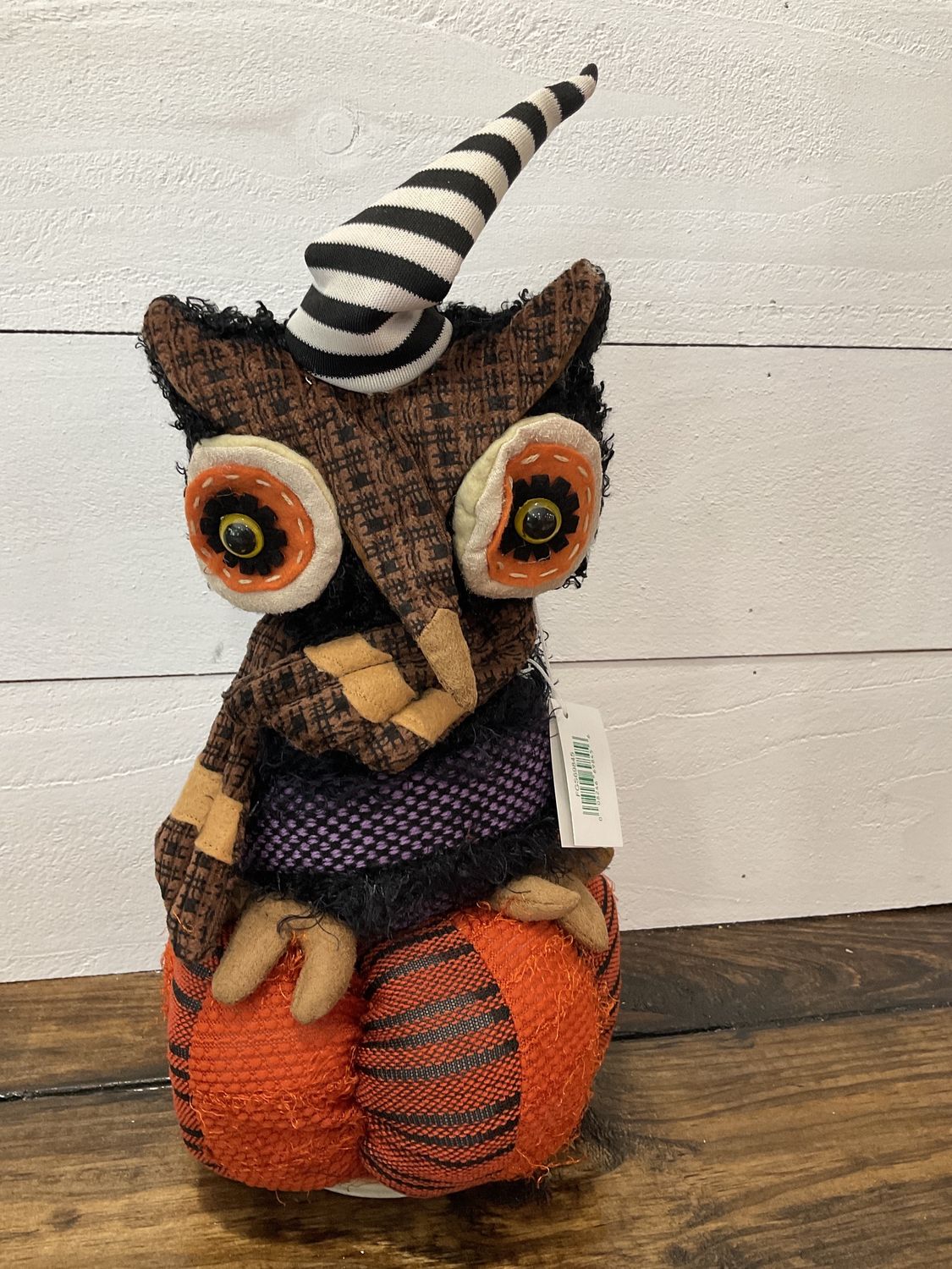 Owl on pumpkin
