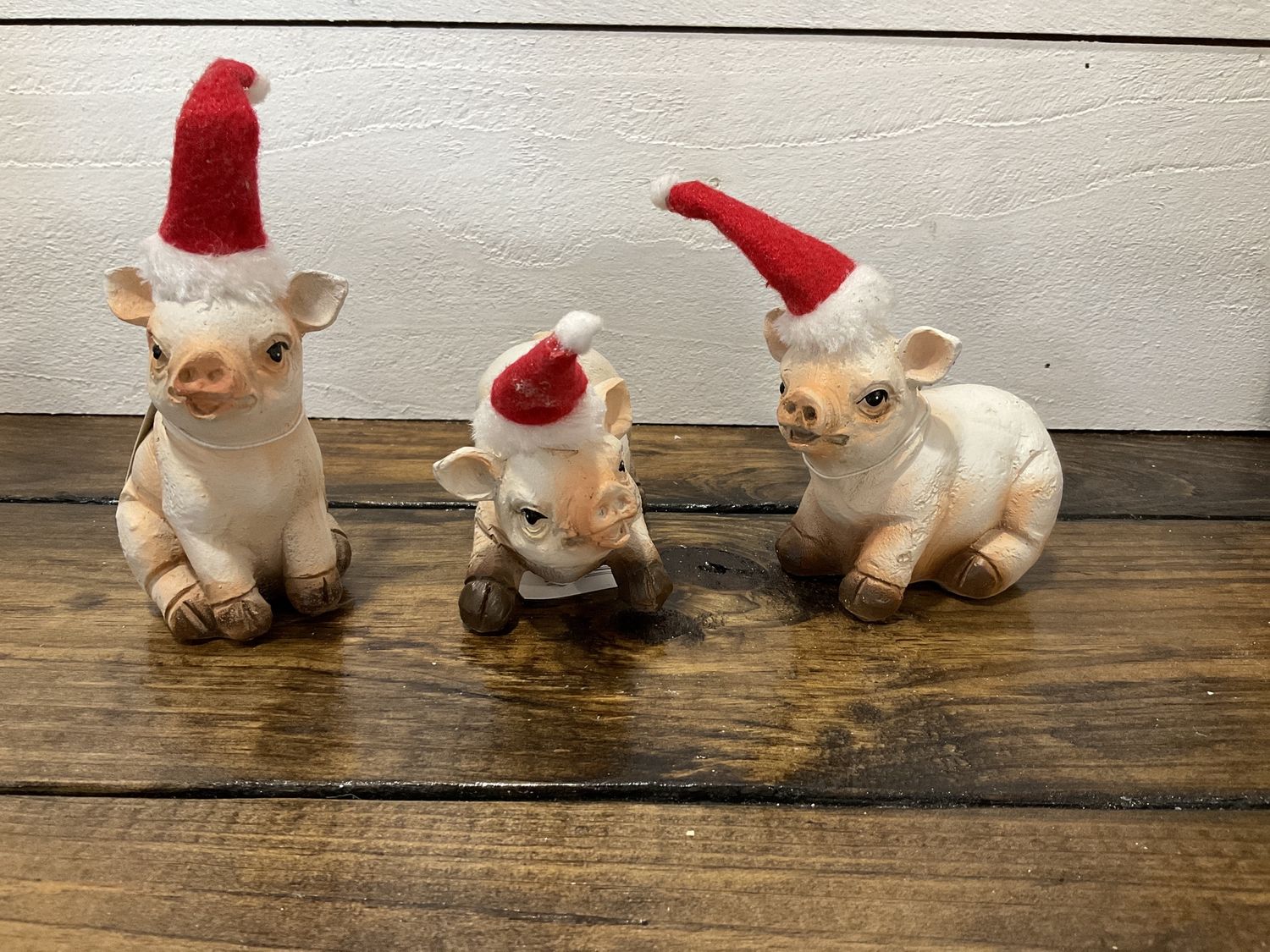 Christmas pigs