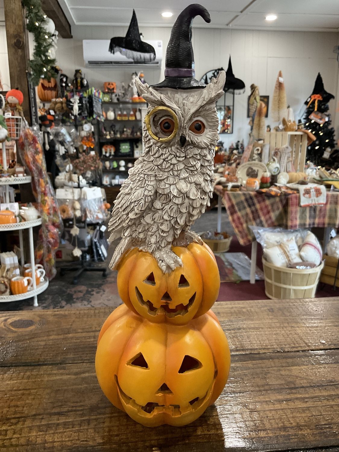 Owl with stacked pumpkin