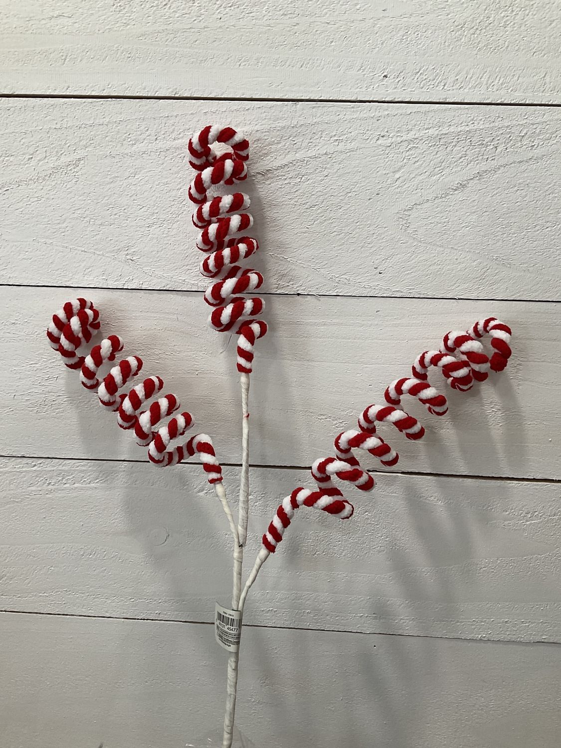 Red &amp; white Candy stripe pic