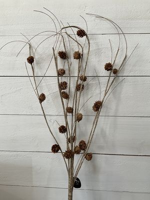 Forest Pine Branch
