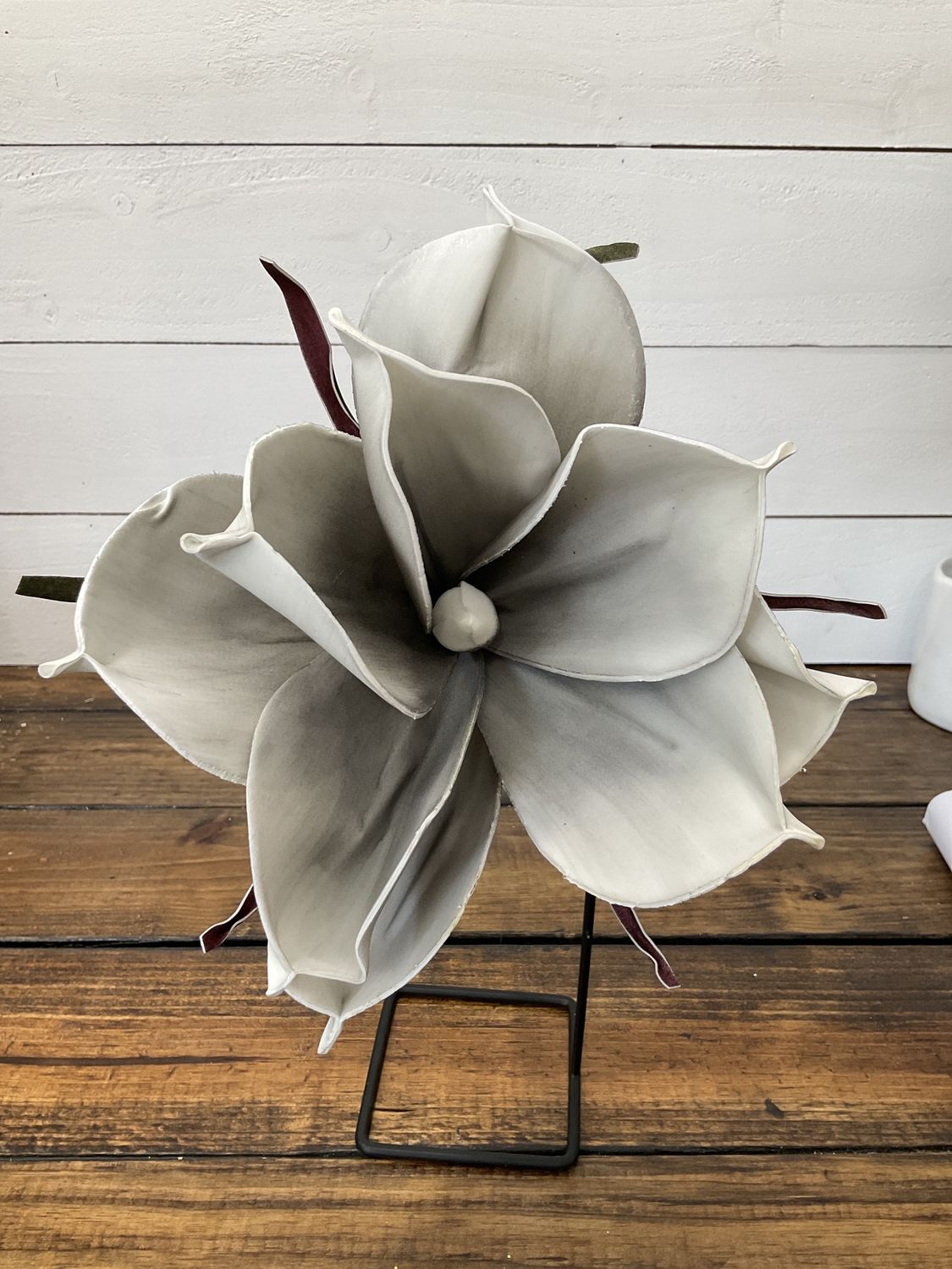 Magnolia gray pick