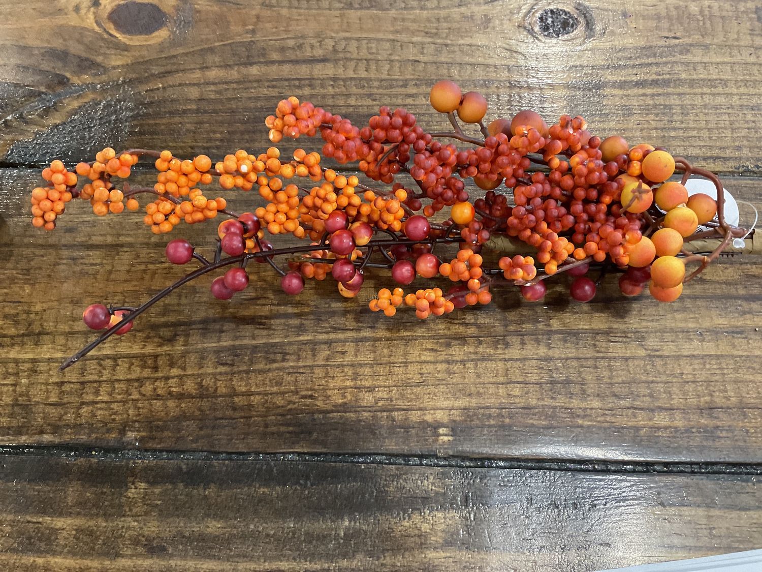 Autumn harvest Berry pick