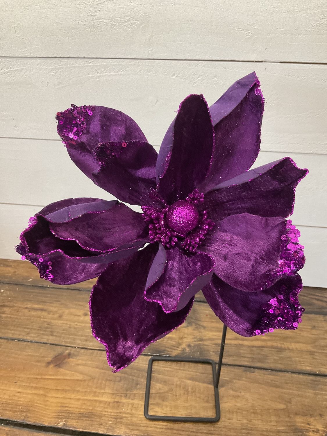 Sweet velvet sequence edge, magnolia