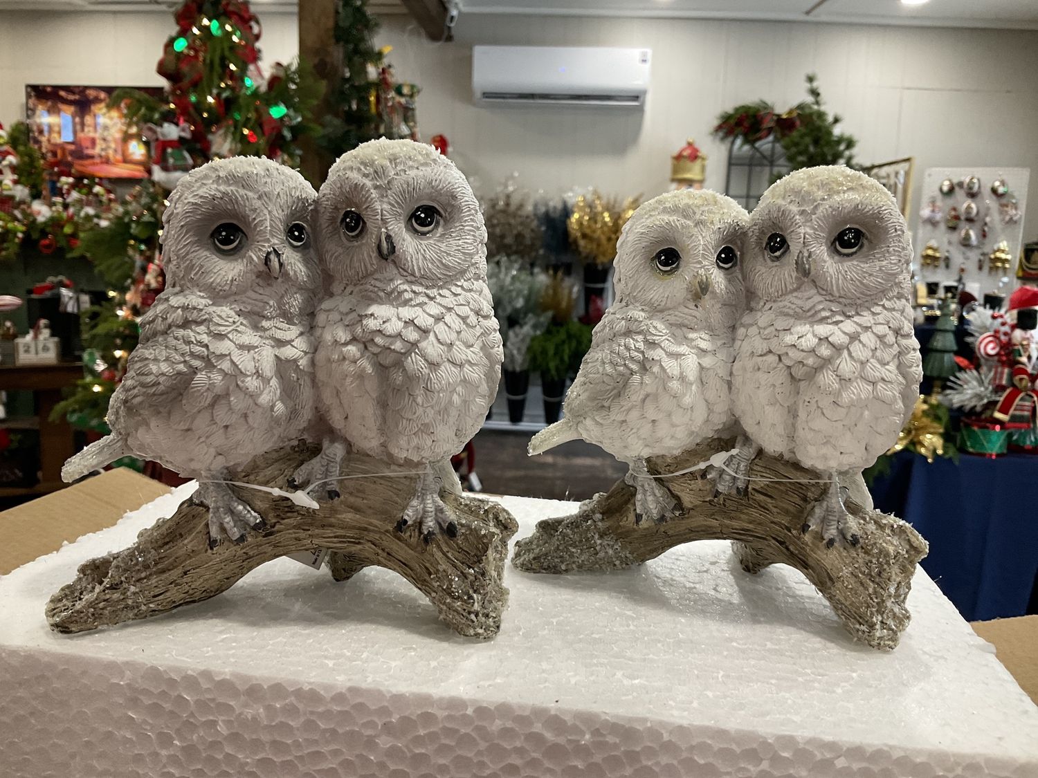 DOUBLE OWL ON BRANCH