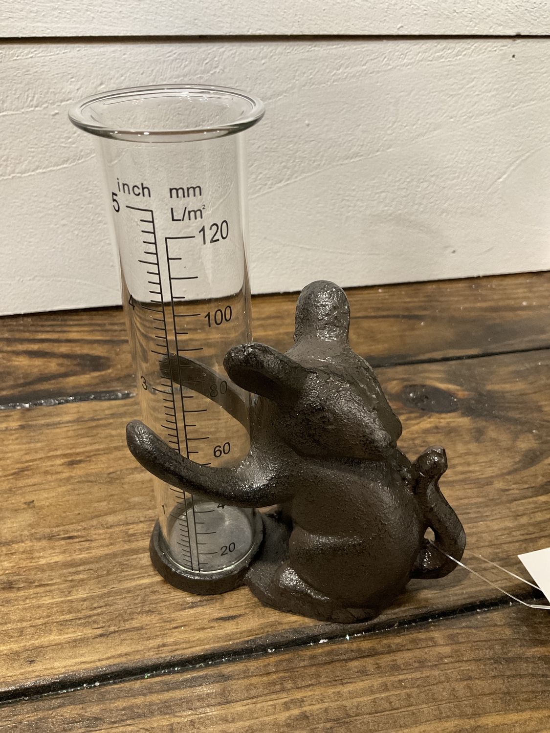 Mouse rain gauge