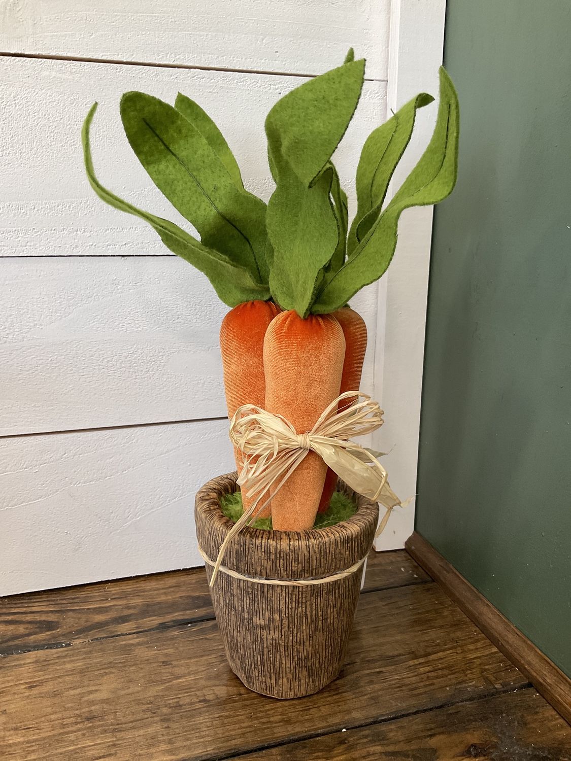 Orange carrots in Pot