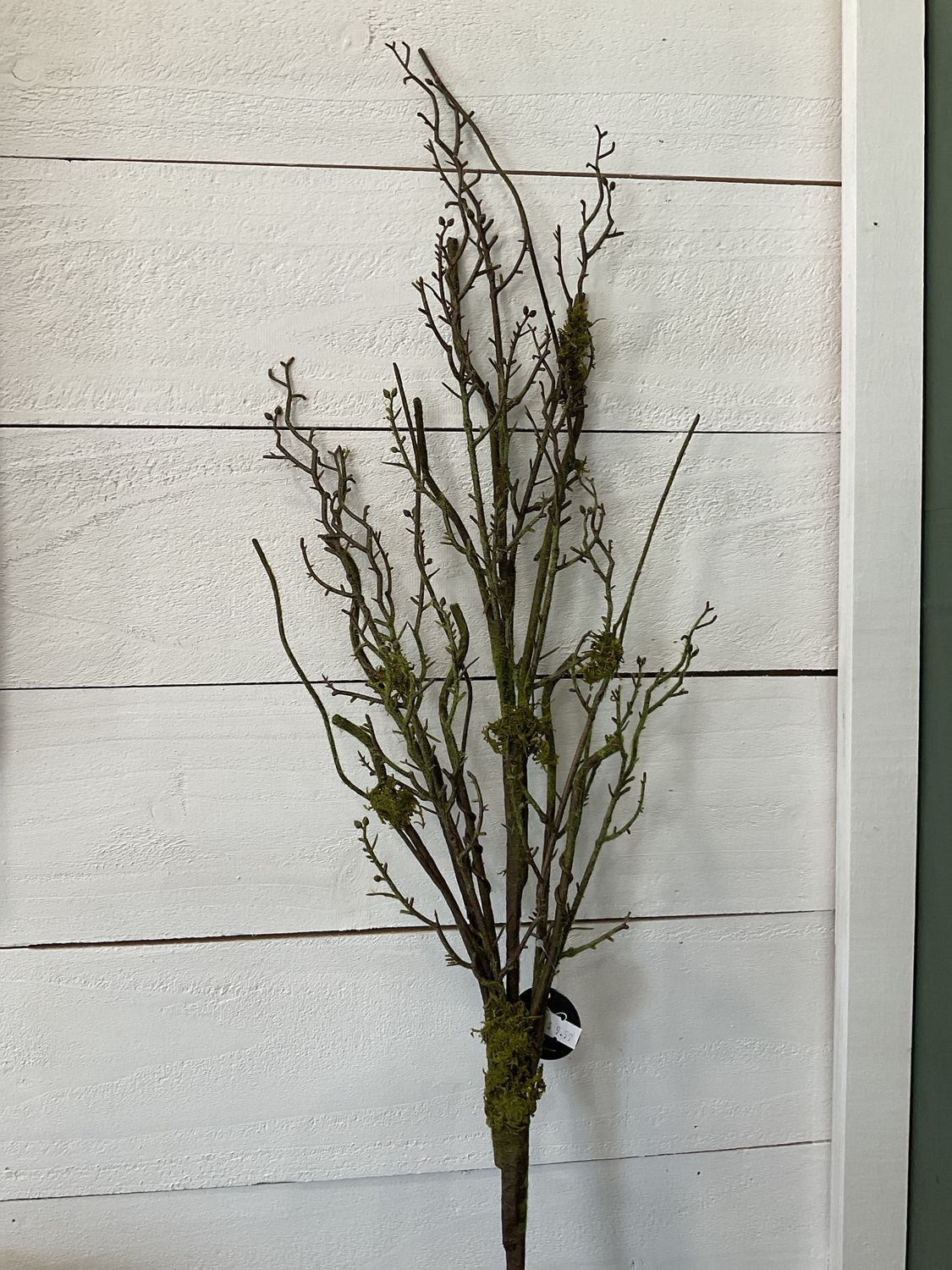 Wooden Moss Branch