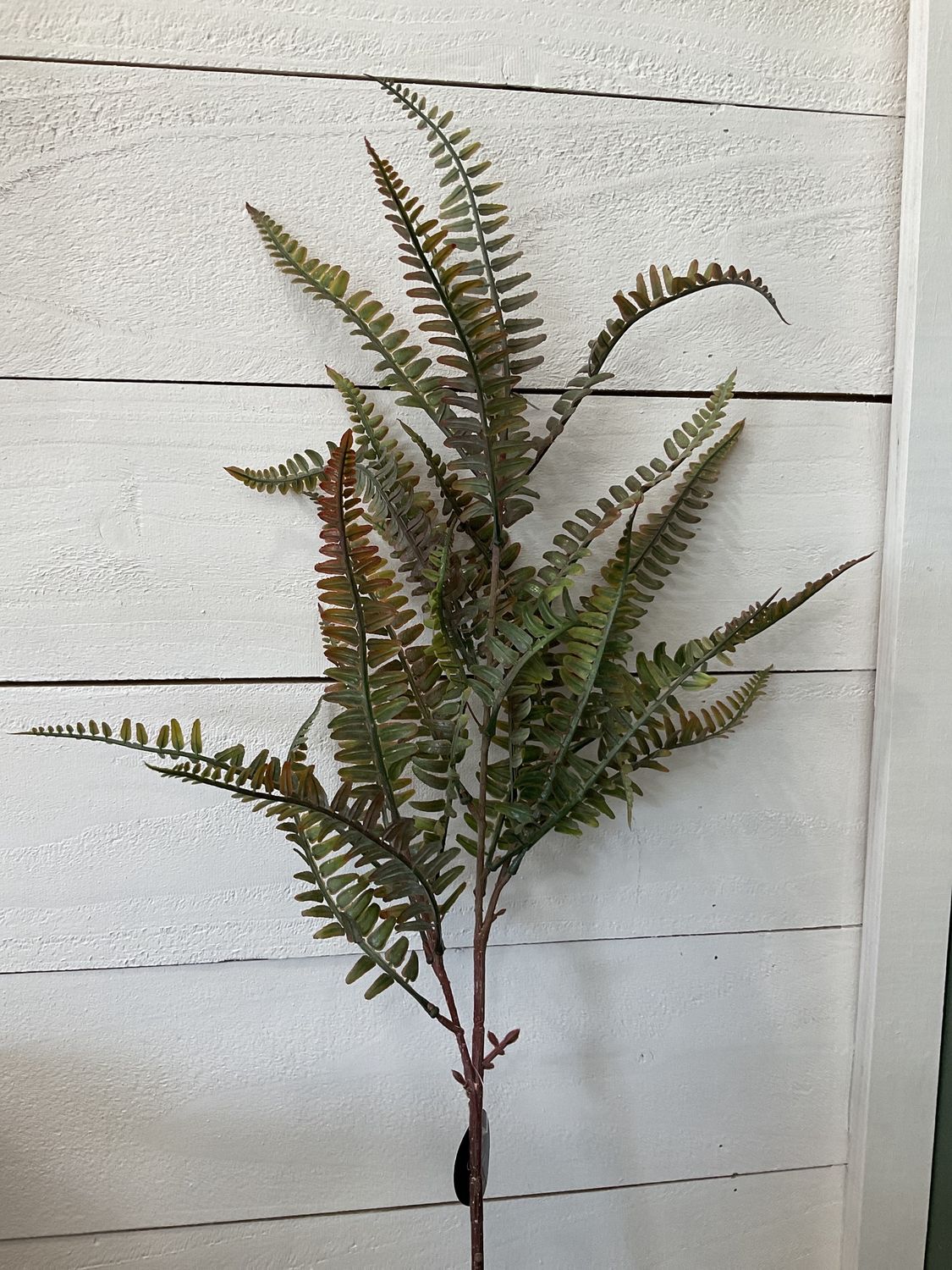 28” Fern Spray