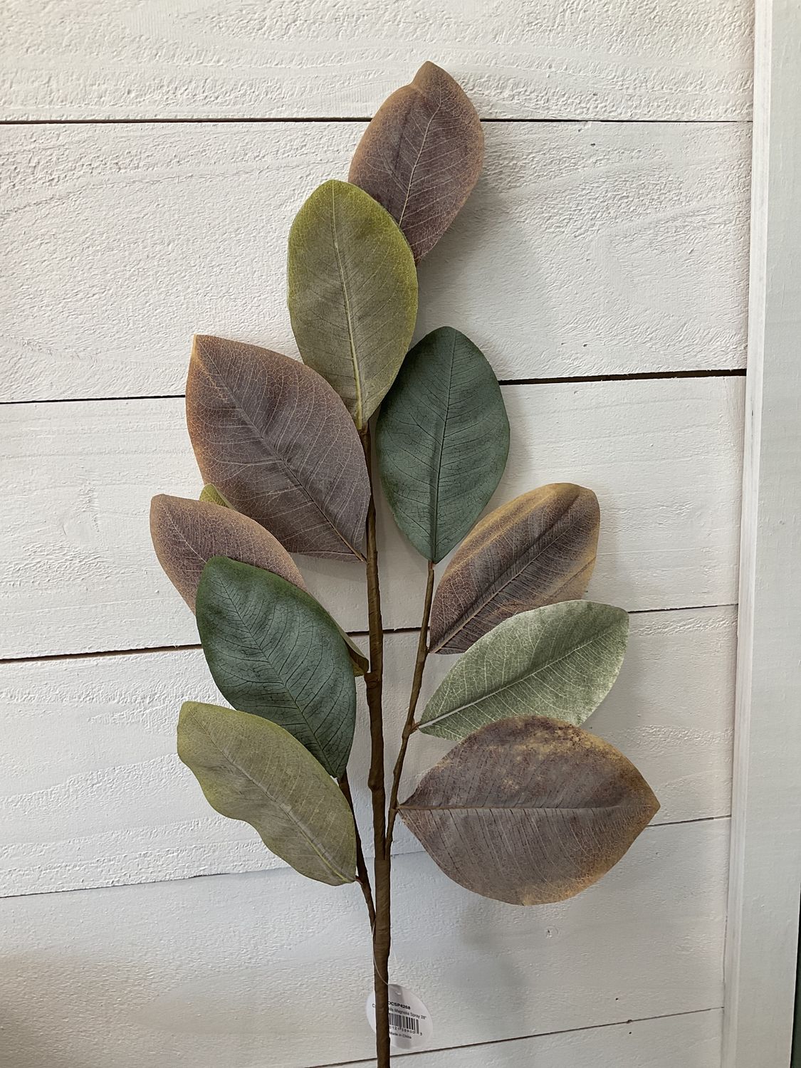 Cypress Hills Magnolia Spray