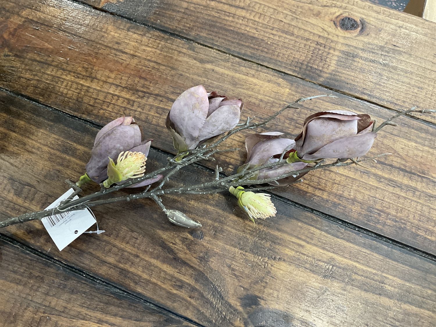 Magnolia branch pick 2 styles