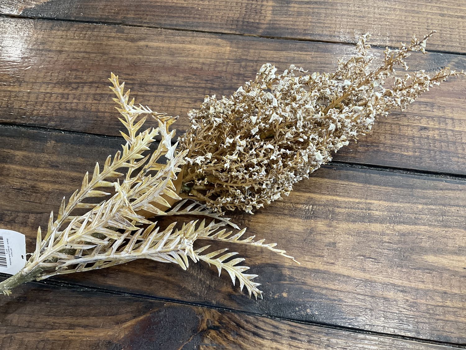 Dried Look Astilbe Stem