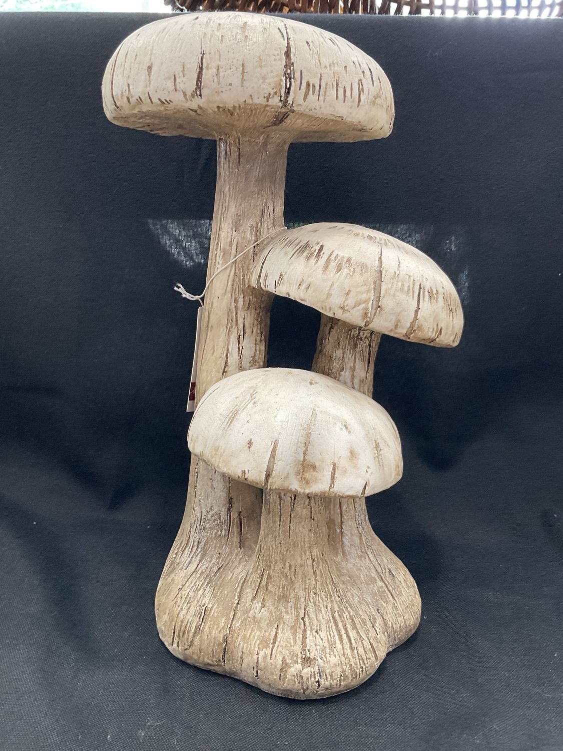 Mushroom Trio