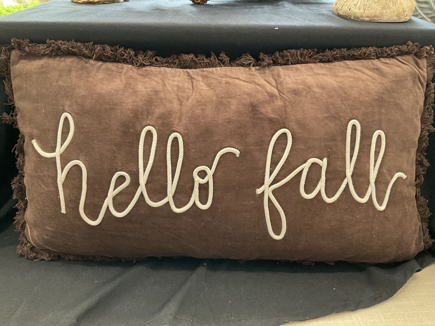 Hello fall brown, velvet lumbar pillow