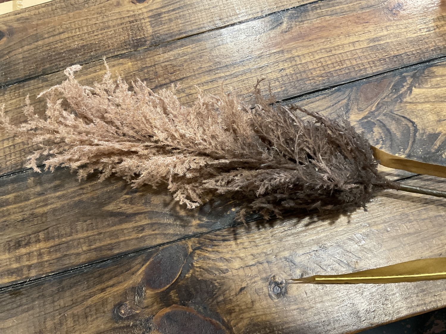 44 inch pampas stem brown