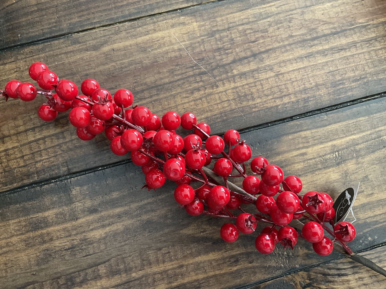 Shiny current Berry stem Red