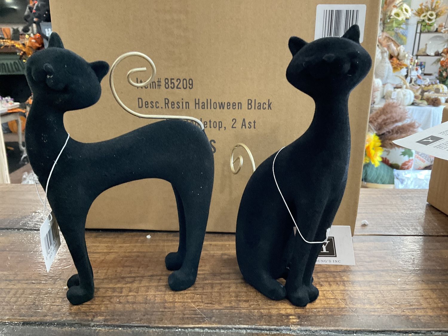 Black Cat 2 assortment