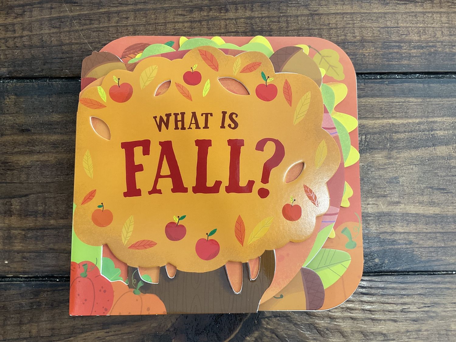 What is Fall?