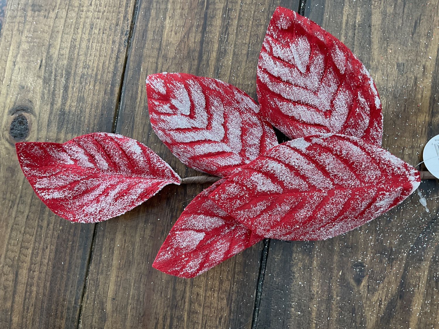 Frozen Christmas Magnolia Leaf