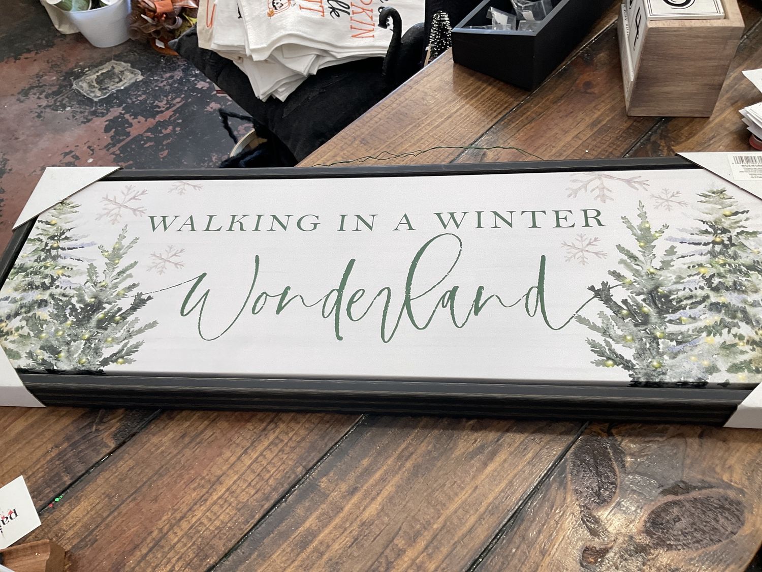 Walking in a winter wonderland picture