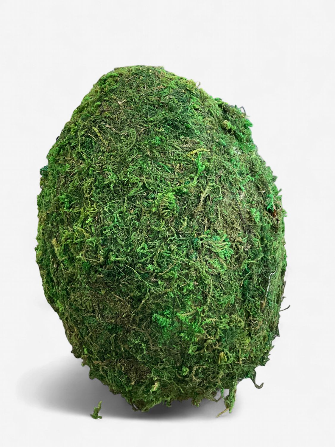 Moss Egg, Size: Small