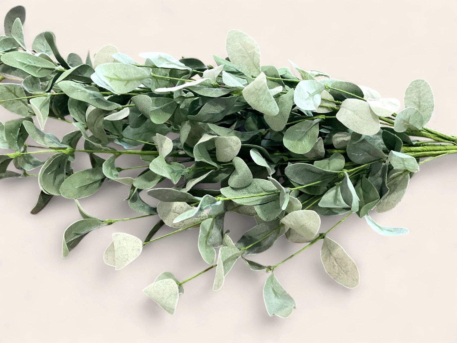 Shades of green sage