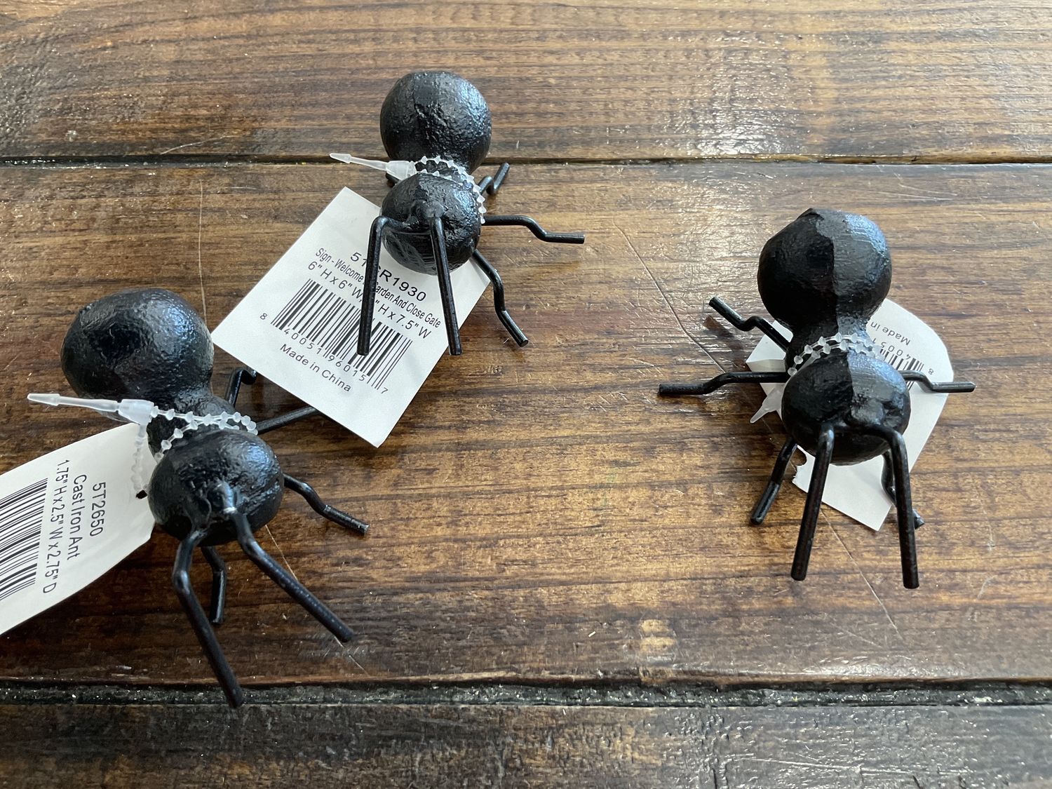 Cast Iron Ant