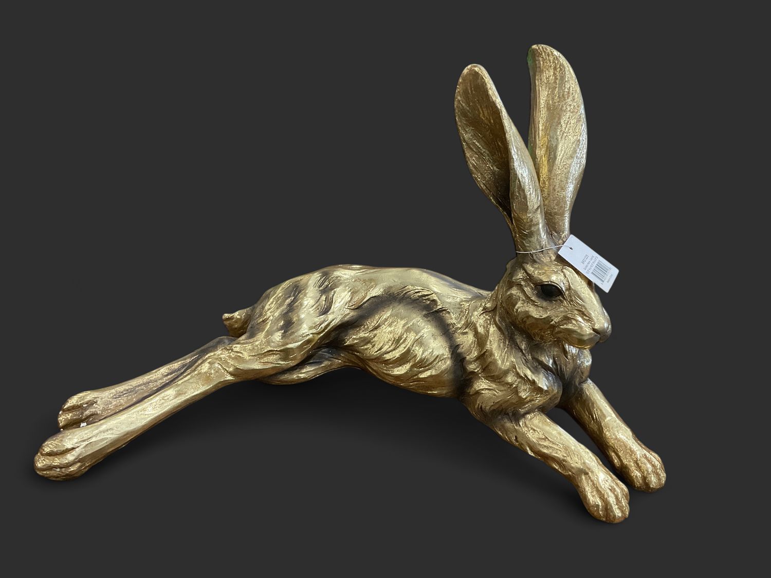 Golden Hare-Laying