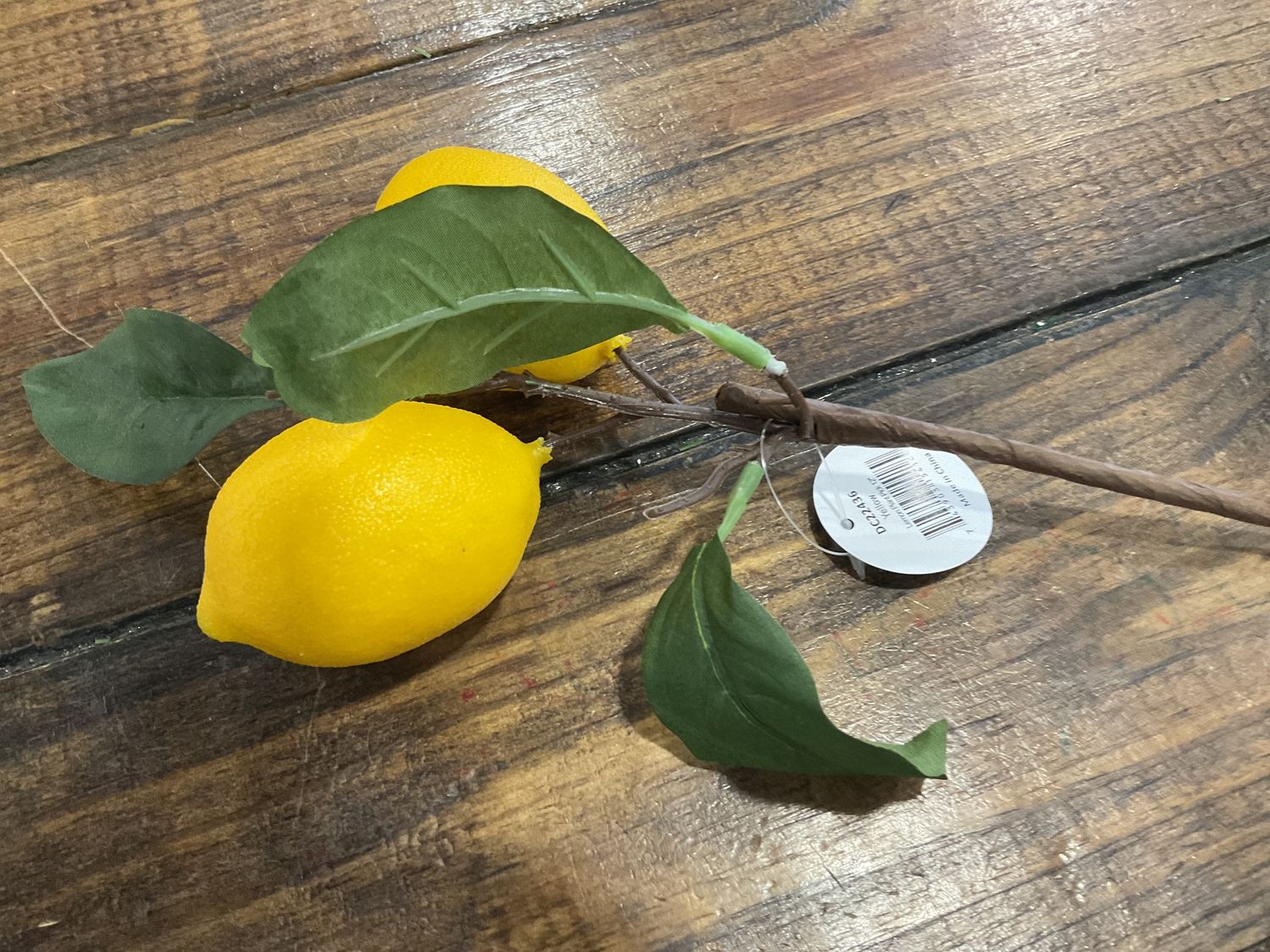 Lemon Plant Pick