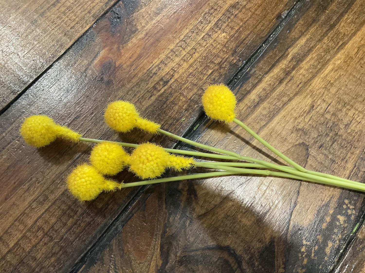 Billy Button Pick yellow