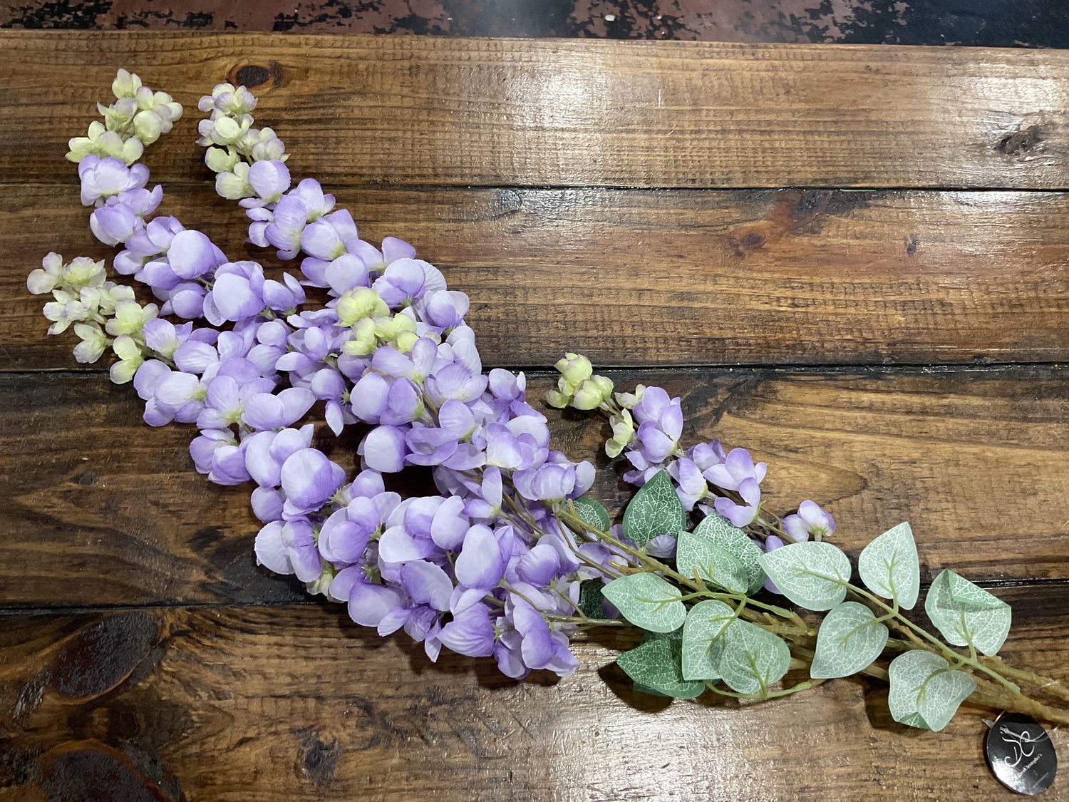 Hanging garden wisteria branch purple
