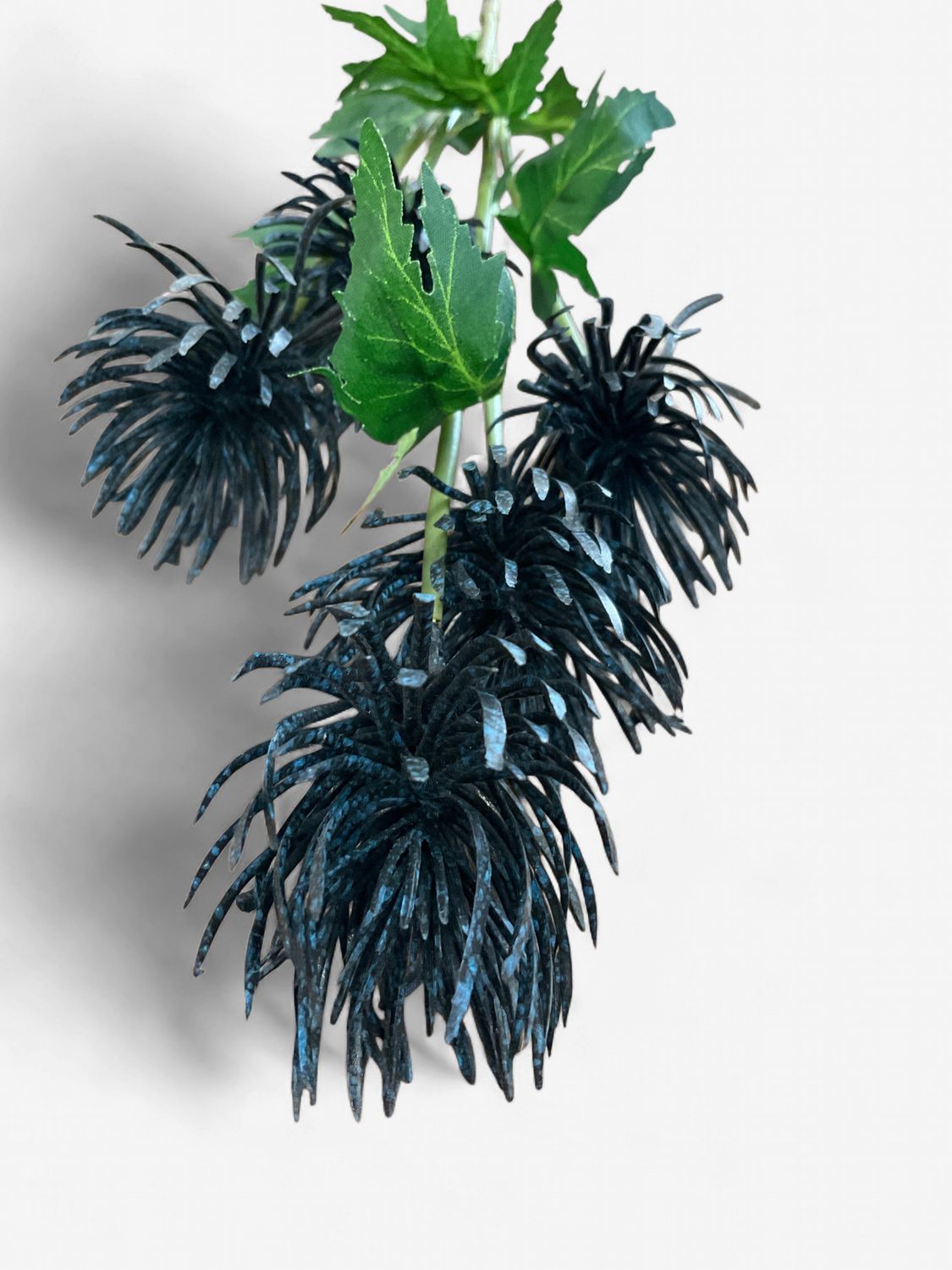 Dark Blue Sea Holly Pick