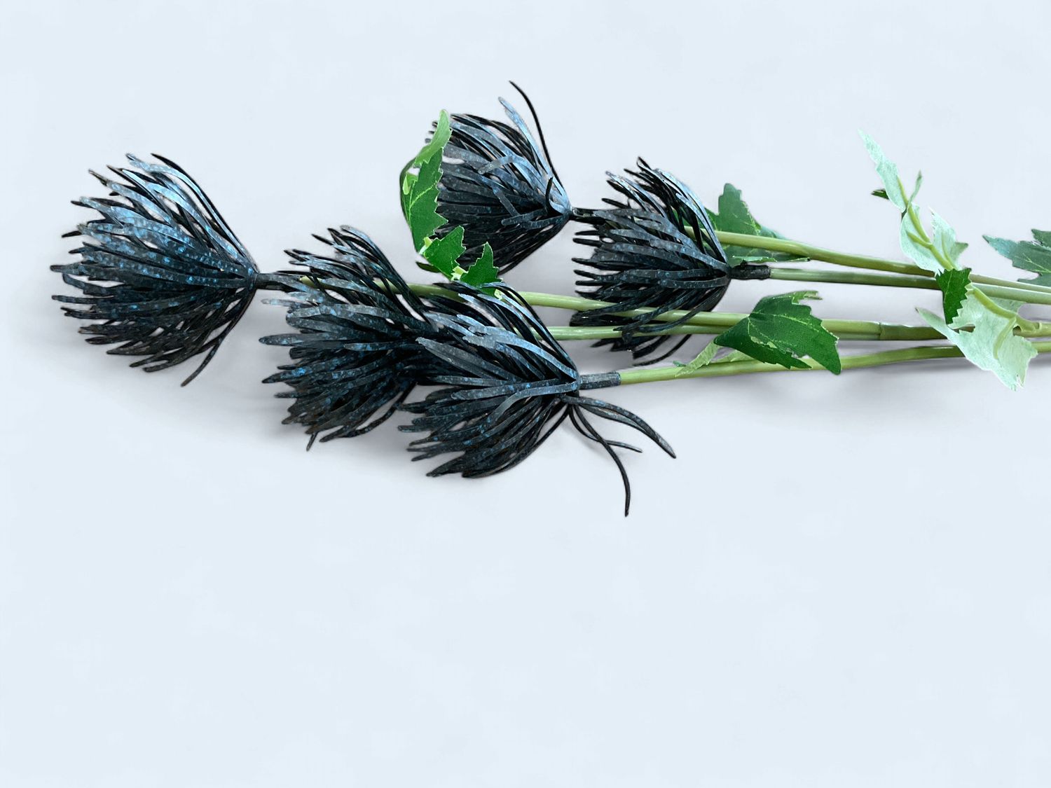 Dark Blue Sea Holly Pick