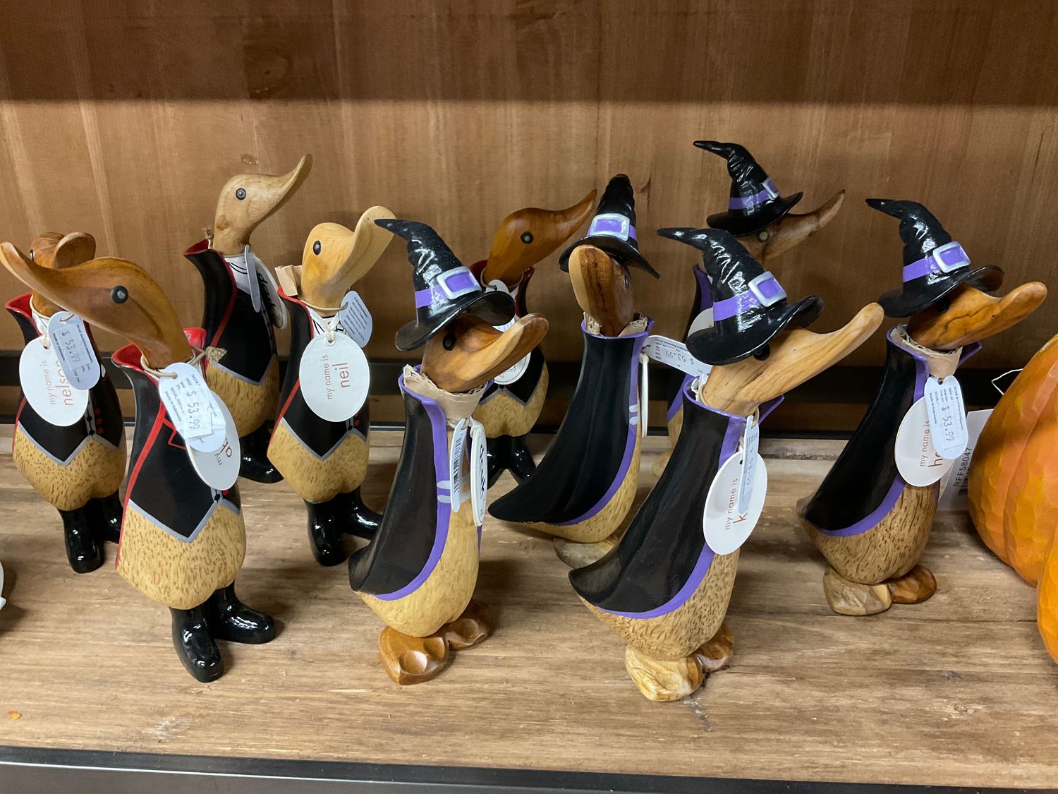 Halloween Duckling