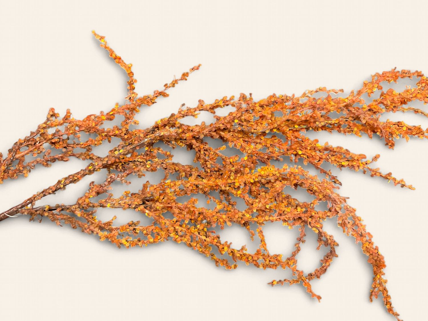 Tamarisk orange pick