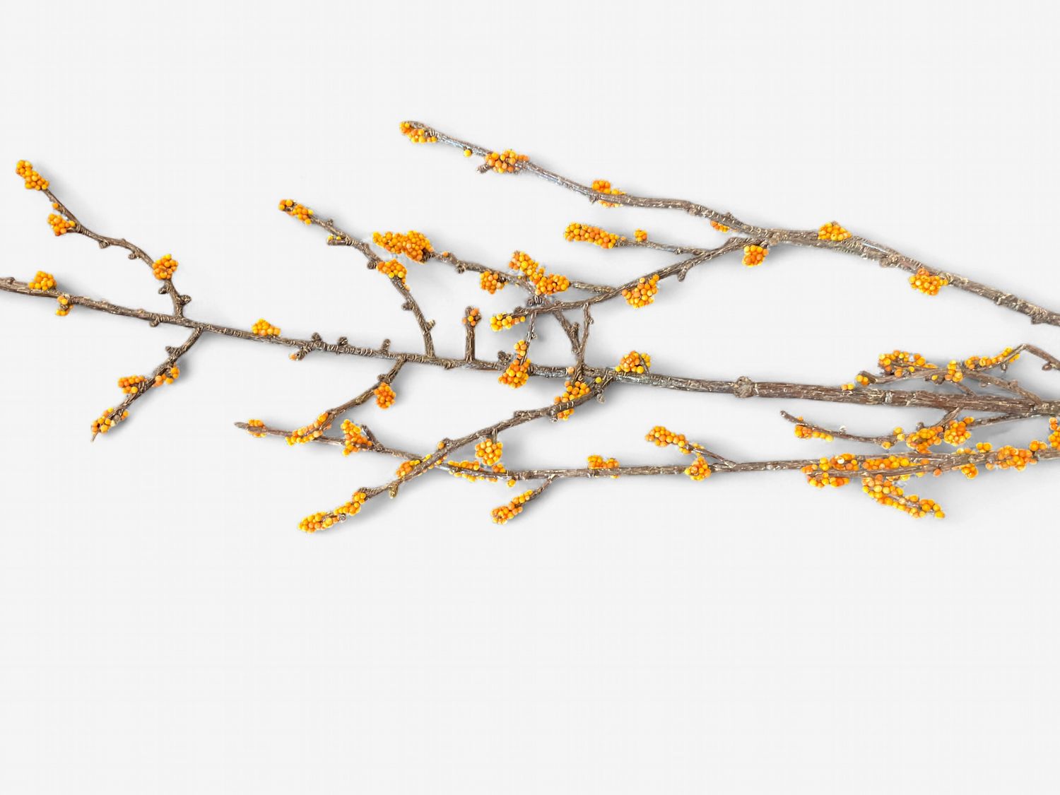 Mini clusters of orange berries