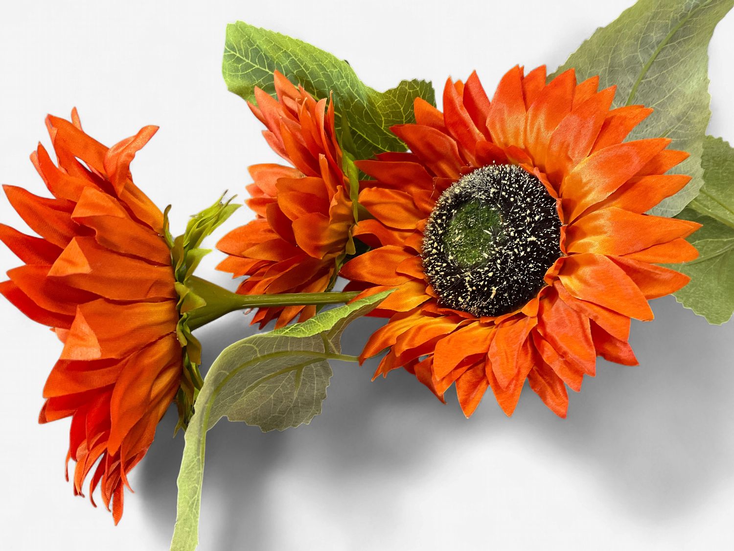 Sunflower spray orange