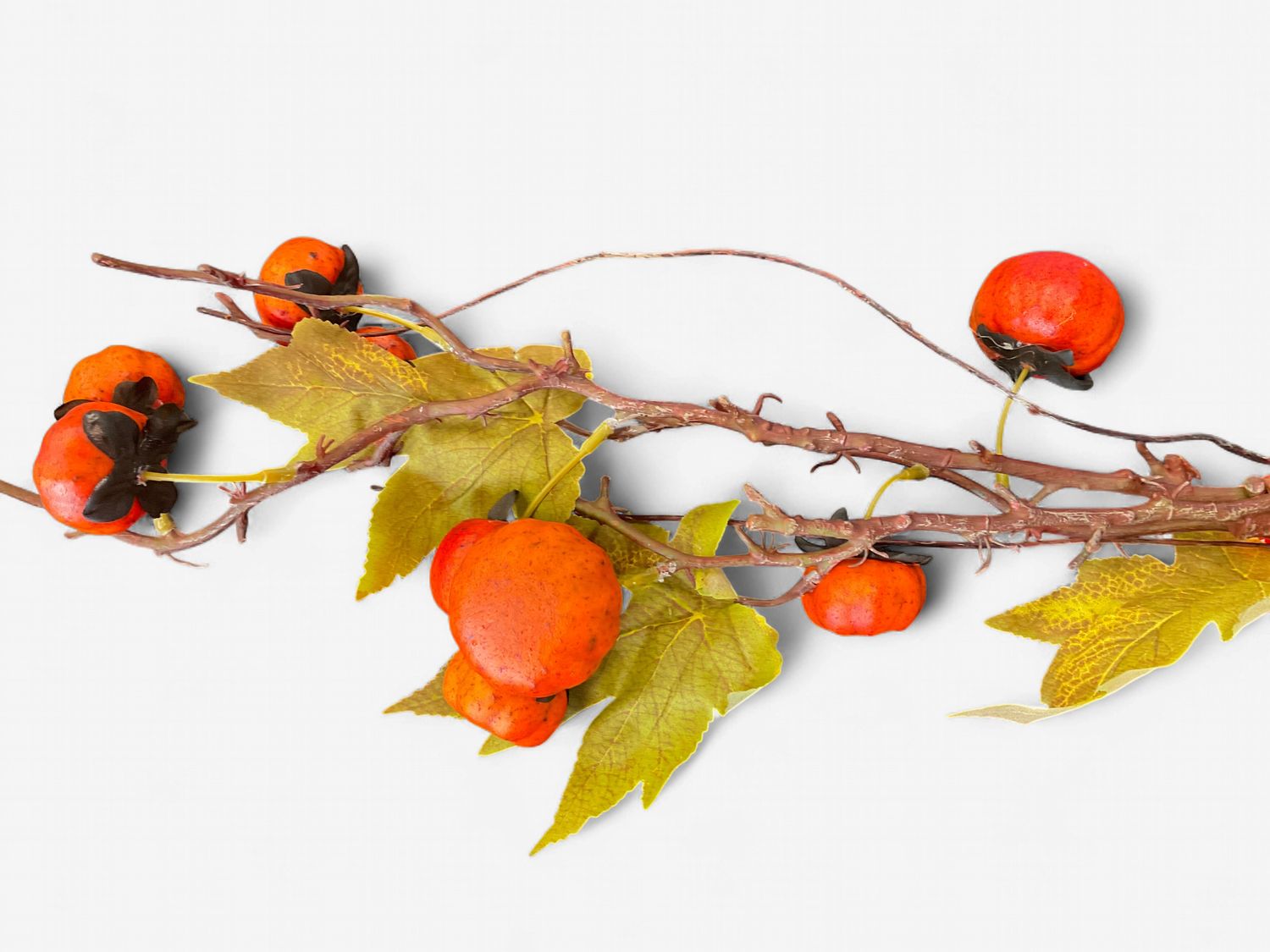 Pumpkin branch, orange stem