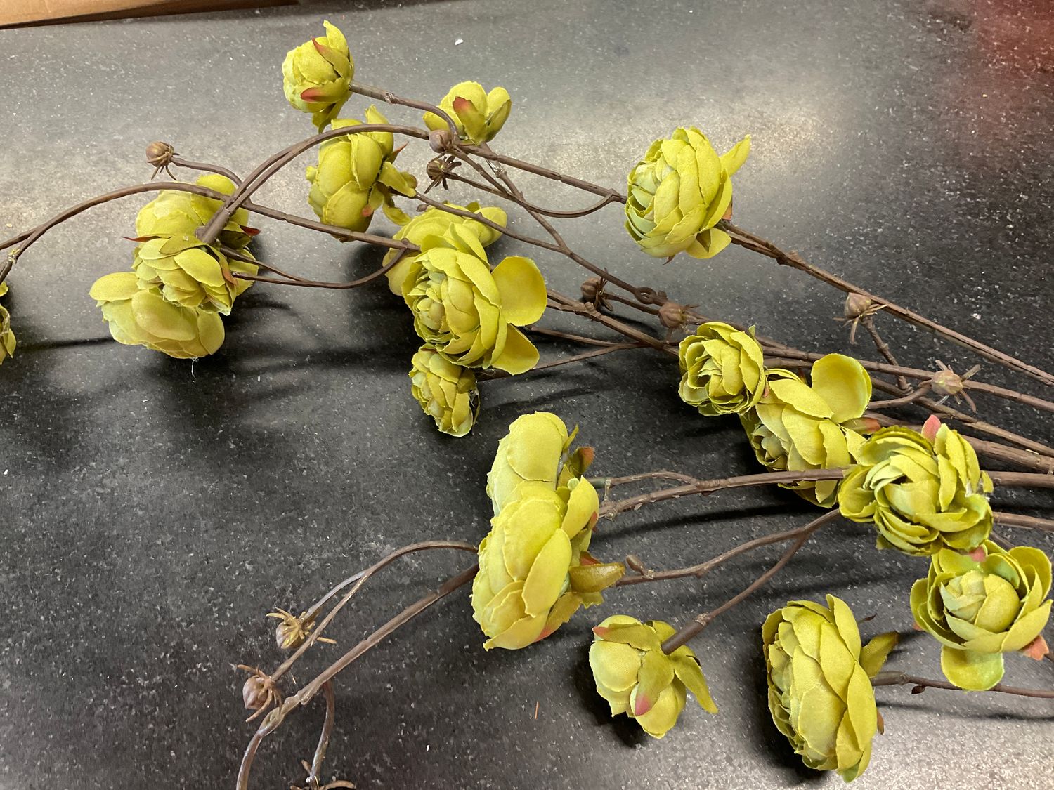 Blooming Ranunculus branch olive green